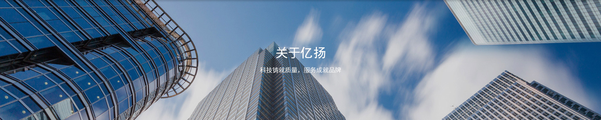 亿扬简介